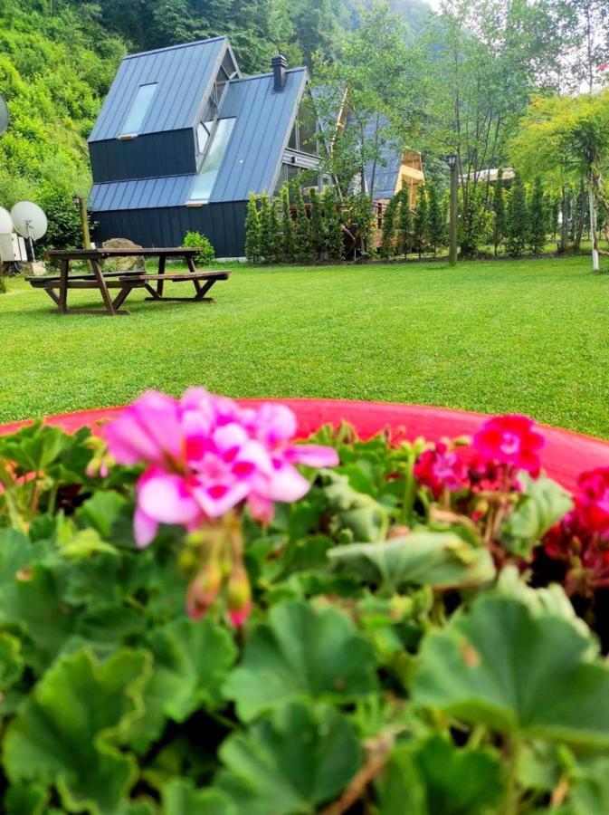 Naturkoy Sapanca Sakarya  Exterior photo