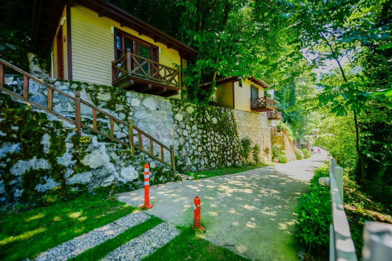 Naturkoy Sapanca Sakarya  Exterior photo