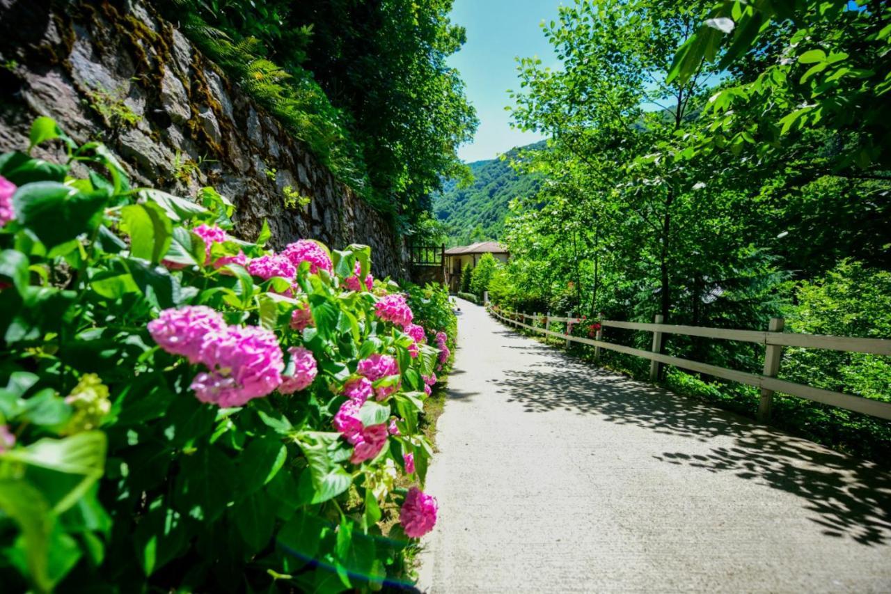 Naturkoy Sapanca Sakarya  Exterior photo