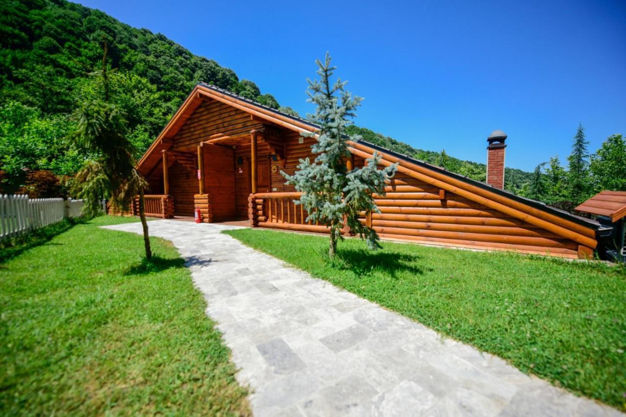 Naturkoy Sapanca Sakarya  Exterior photo