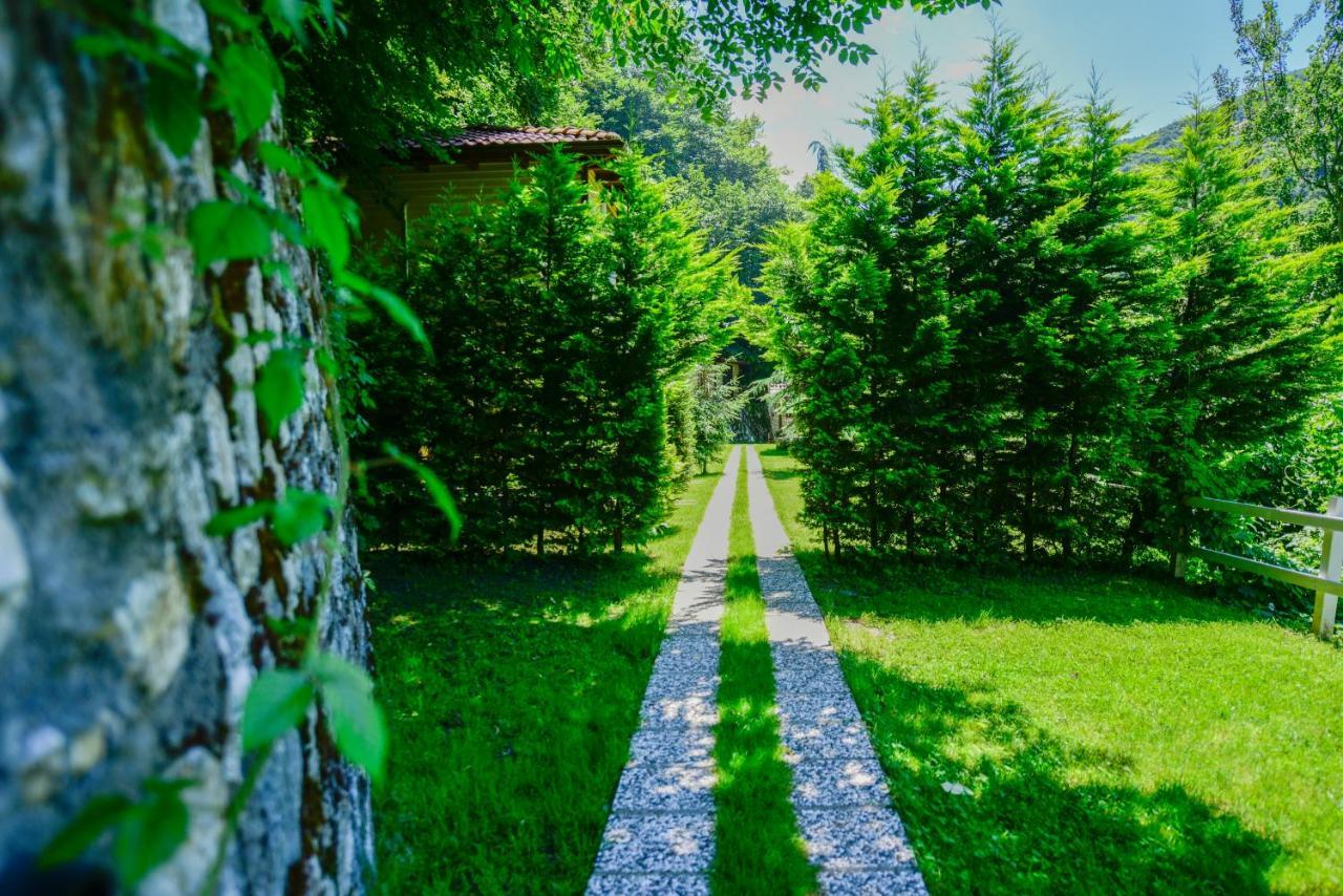 Naturkoy Sapanca Sakarya  Exterior photo