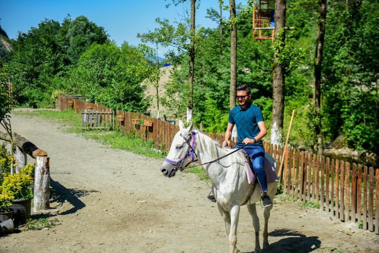 Naturkoy Sapanca Sakarya  Exterior photo